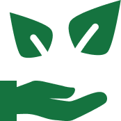 Sustainable Practices