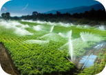 Environmental Responsibility Image